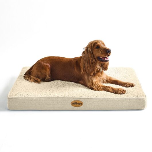 Silentnight Firm Support Crate Mattress Pet Bed Natural Medium